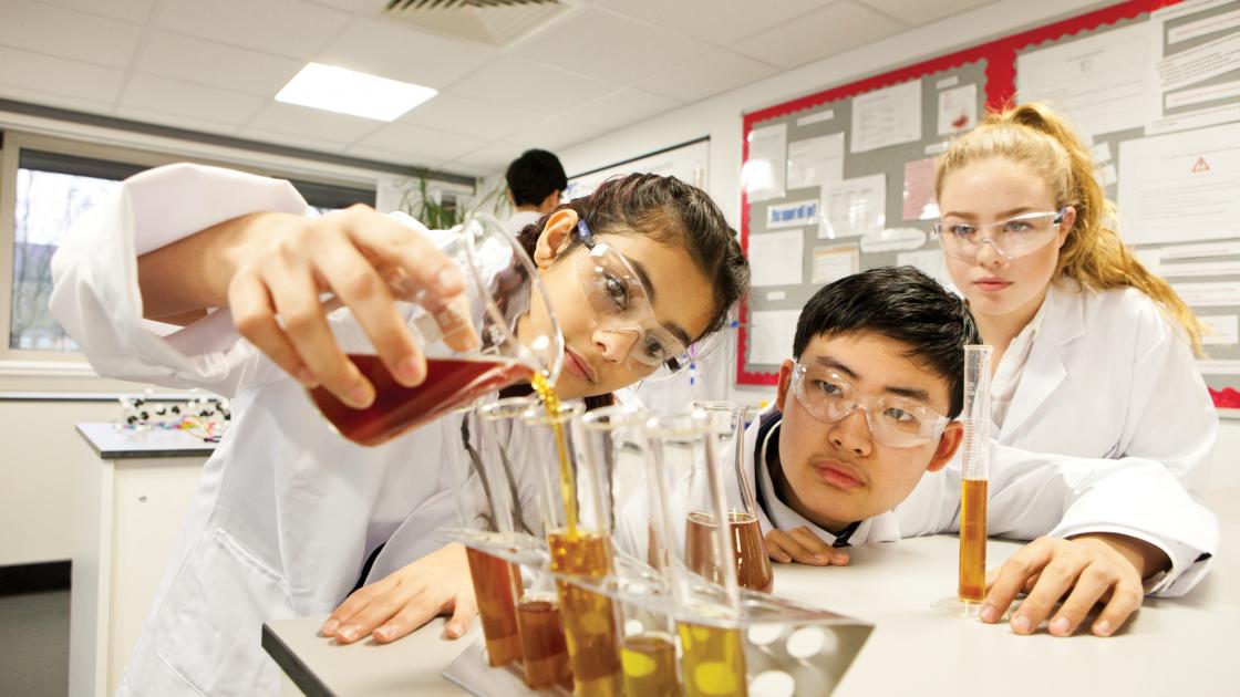 Intercâmbio de estudantes de medicina em Inglaterra Intercâmbio de estudantes de medicina em Inglaterra